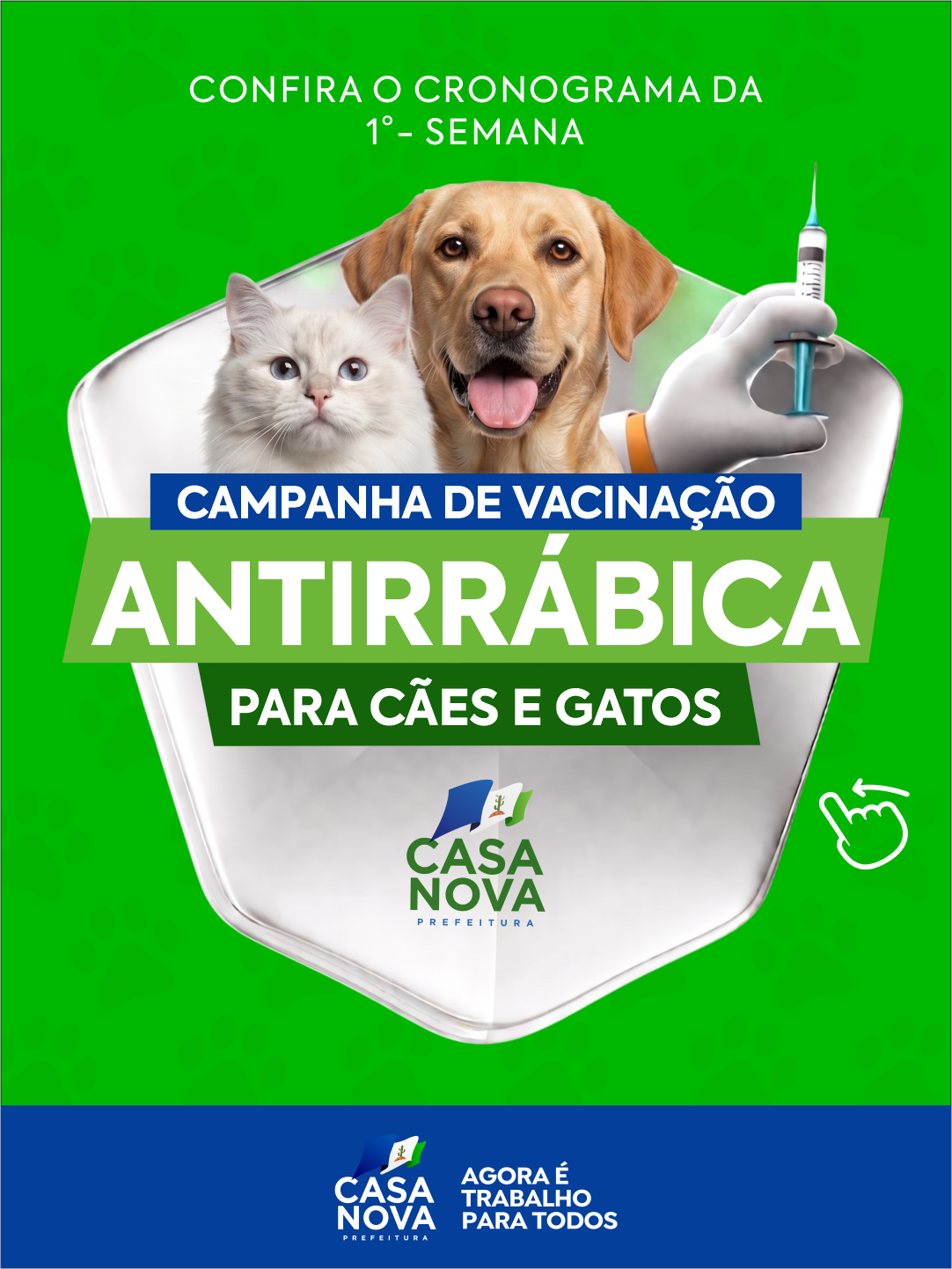 Casa Nova inicia campanha de vacinação antirrábica para cães e gatos nesta terça-feira (21)